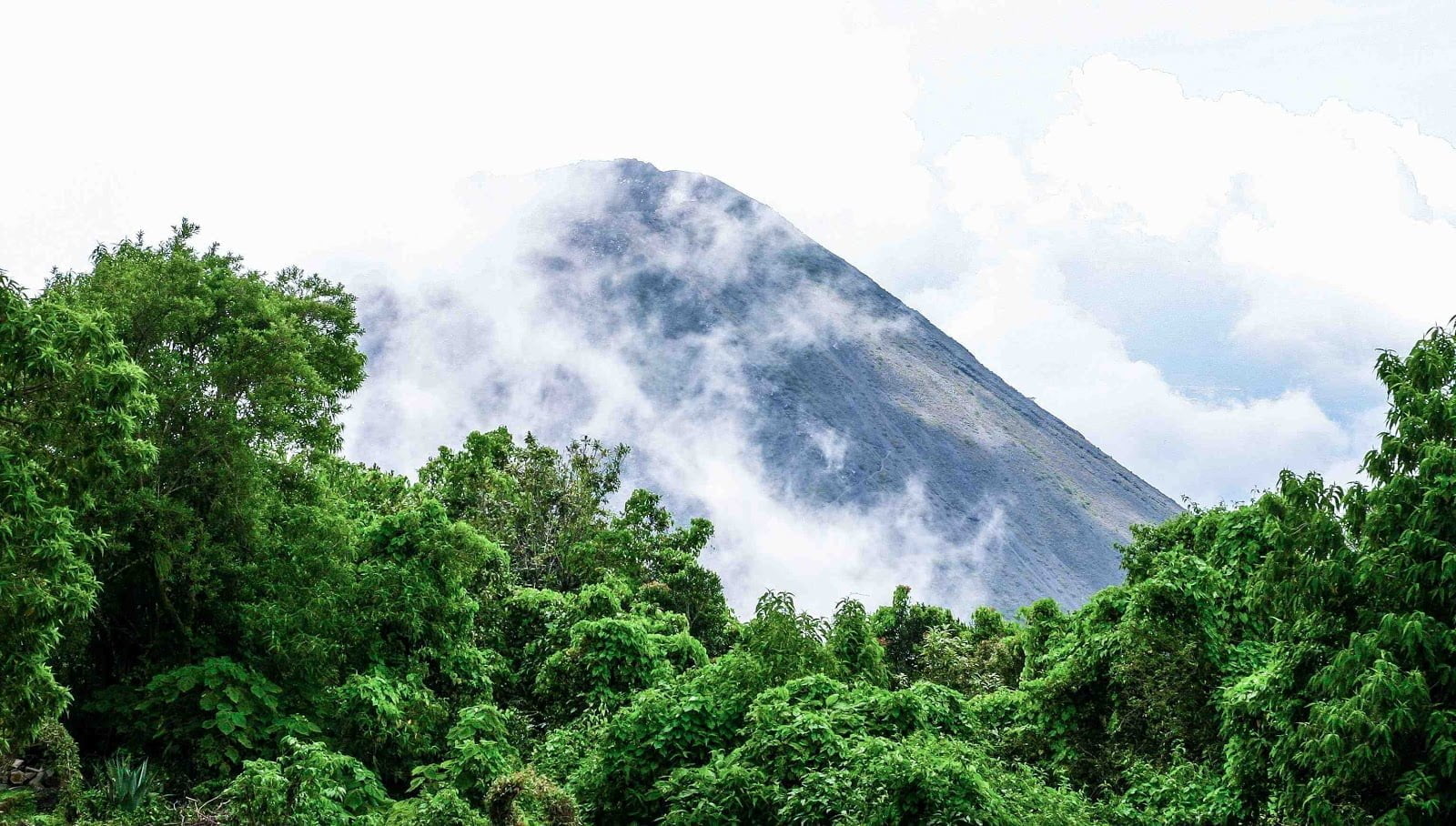 Сальвадор Санта Ана